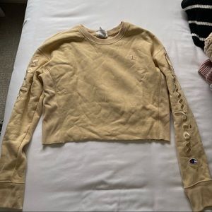 Champion Reverse Weave Cropped Crewneck